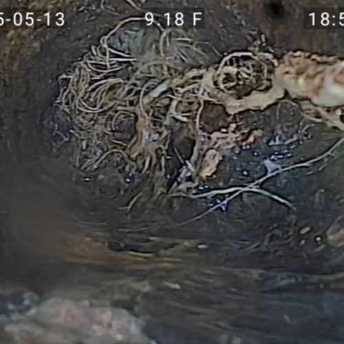Sewer camera inspection in Phoenix